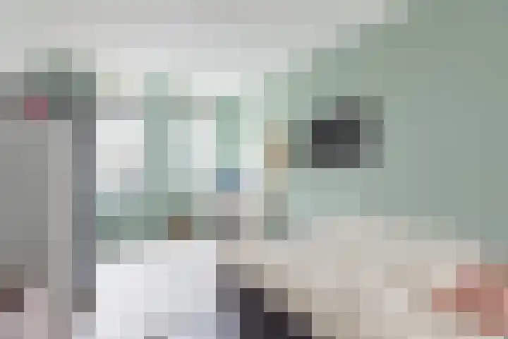 Baanpad 6 A Alkmaar thumbnail 33
