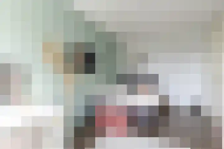 Baanpad 6 A Alkmaar thumbnail 34