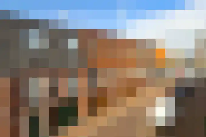 Baanpad 6 A Alkmaar thumbnail 4