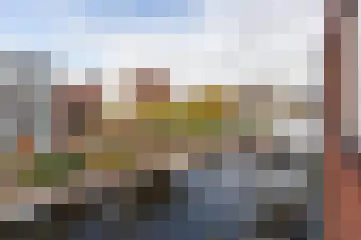 Baanpad 6 A Alkmaar thumbnail 44
