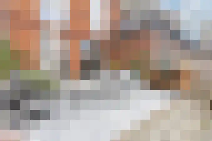 Baanpad 6 A Alkmaar thumbnail 47
