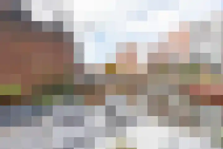 Baanpad 6 A Alkmaar thumbnail 48