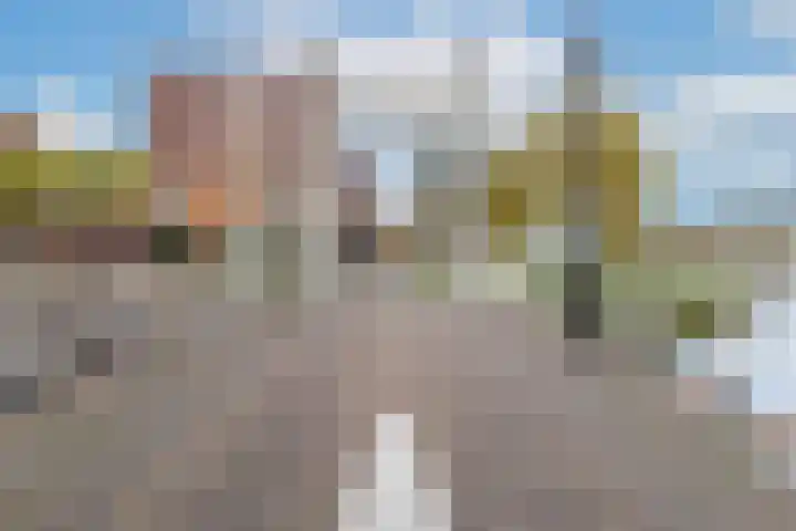 Baanpad 6 A Alkmaar thumbnail 53