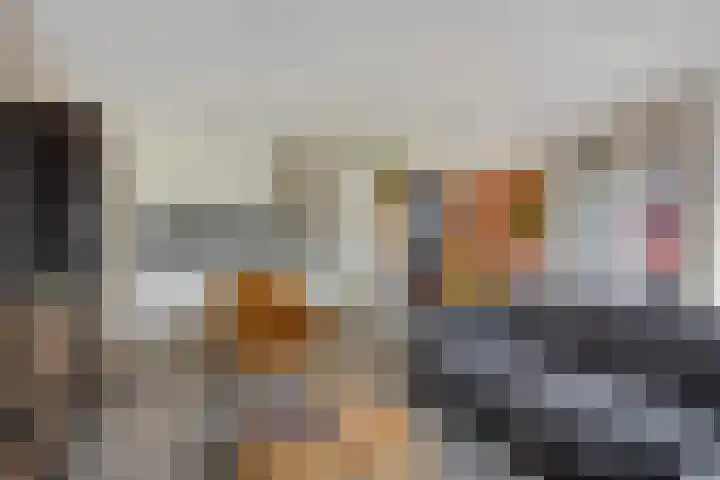 Baanpad 7 Alkmaar thumbnail 10
