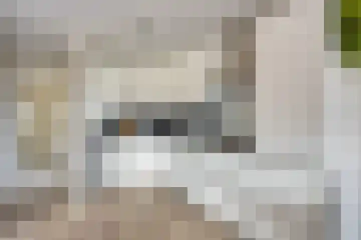 Baanpad 7 Alkmaar thumbnail 12
