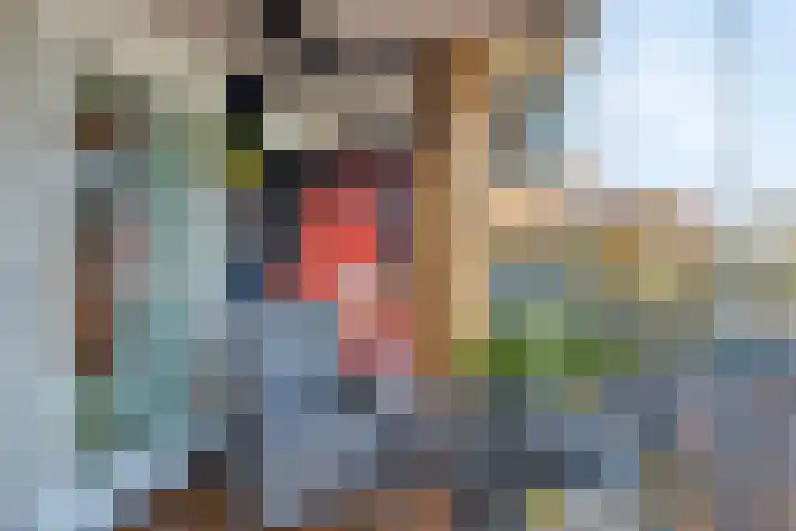 Baanpad 7 Alkmaar thumbnail 16