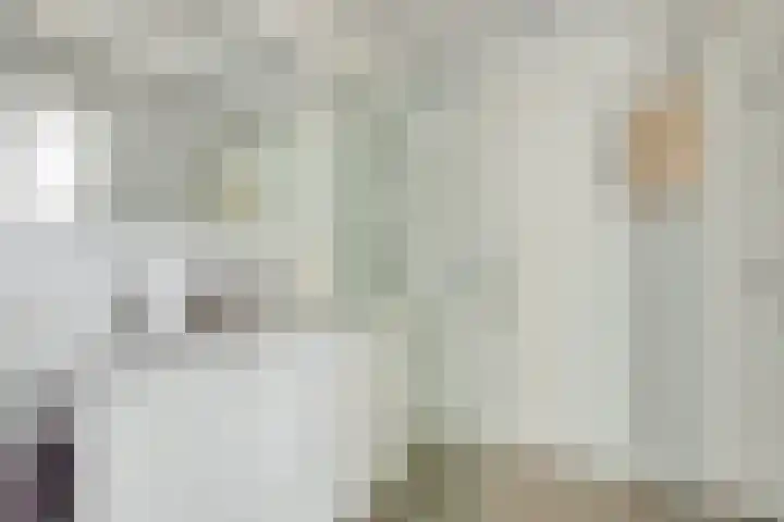 Baanpad 7 Alkmaar thumbnail 19