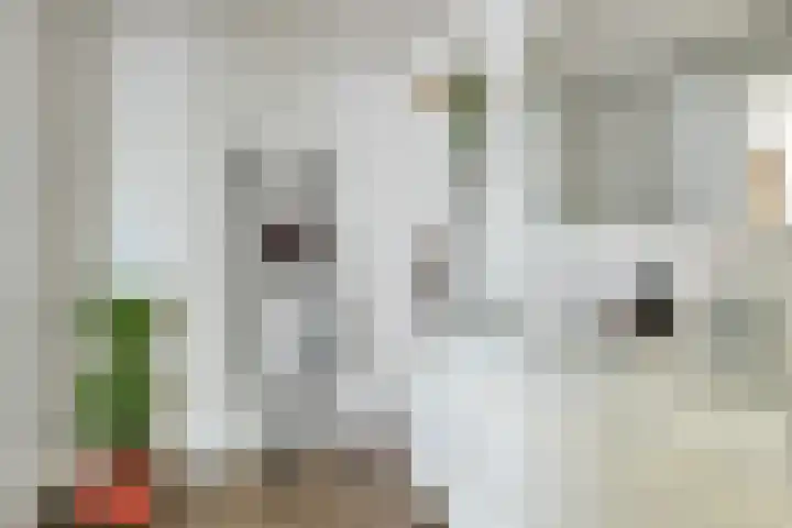 Baanpad 7 Alkmaar thumbnail 20