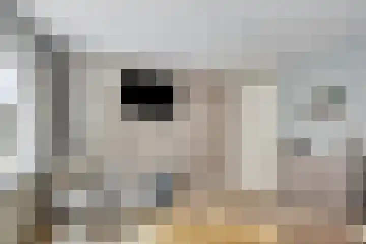 Baanpad 7 Alkmaar thumbnail 22