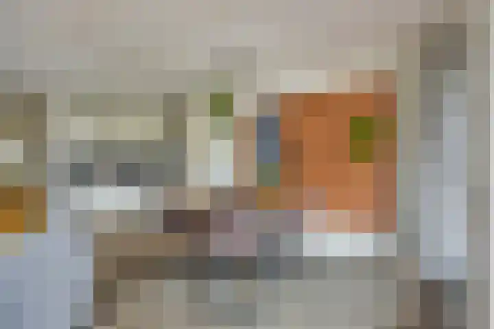 Baanpad 7 Alkmaar thumbnail 4