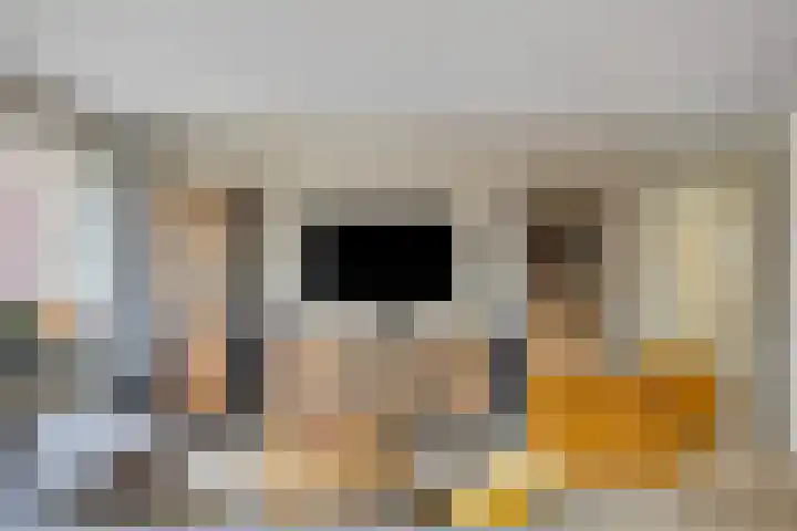 Baanpad 7 Alkmaar thumbnail 9