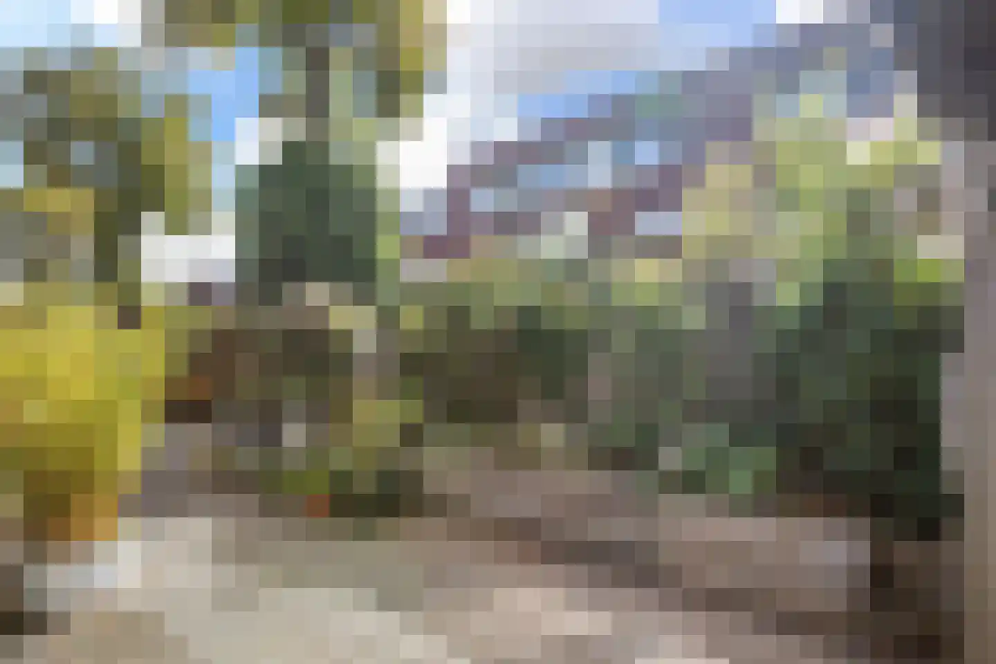 Baansingel 142 Alkmaar thumbnail 10