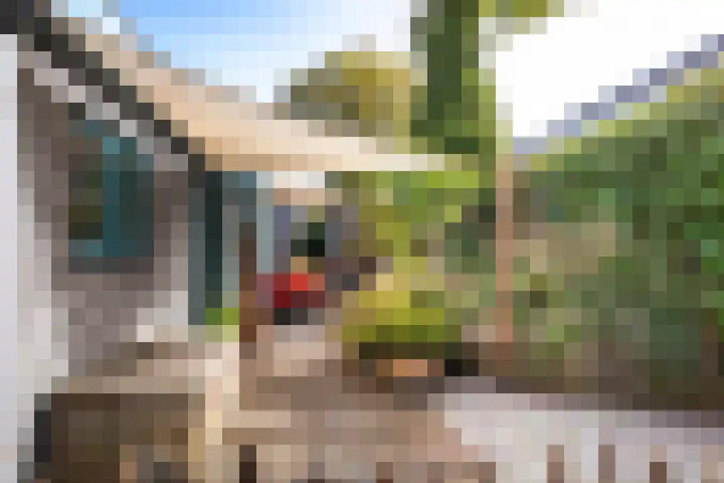 Baansingel 143 Alkmaar thumbnail 7