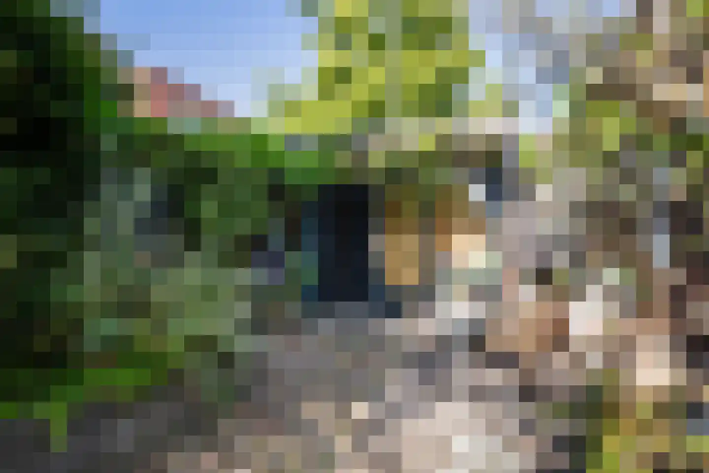 Baansingel 147 Alkmaar thumbnail 29