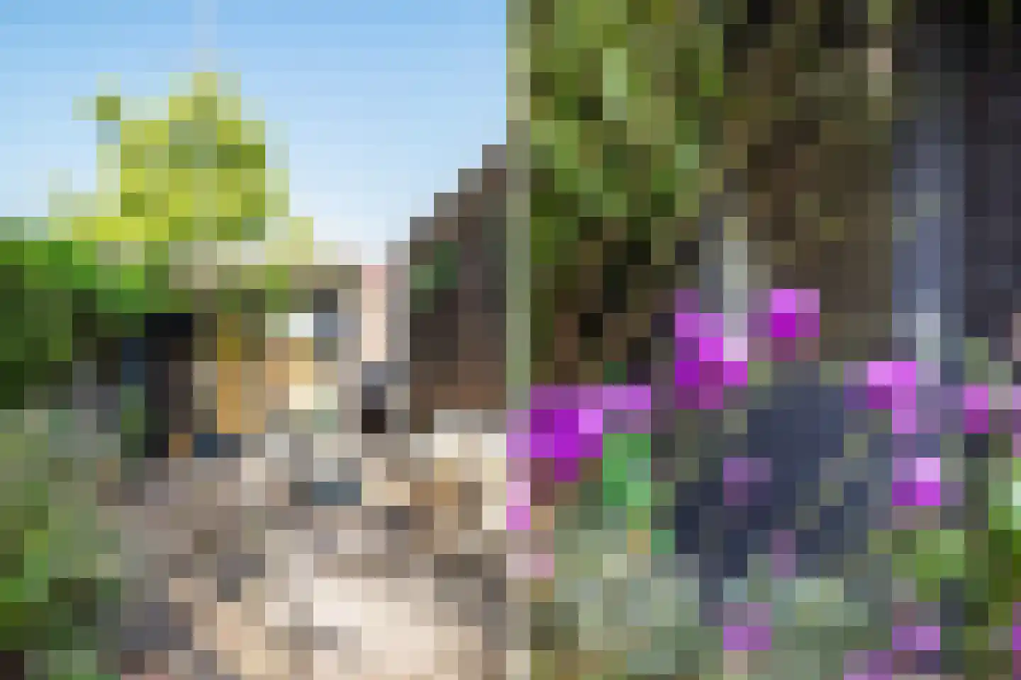 Baansingel 147 Alkmaar thumbnail 30