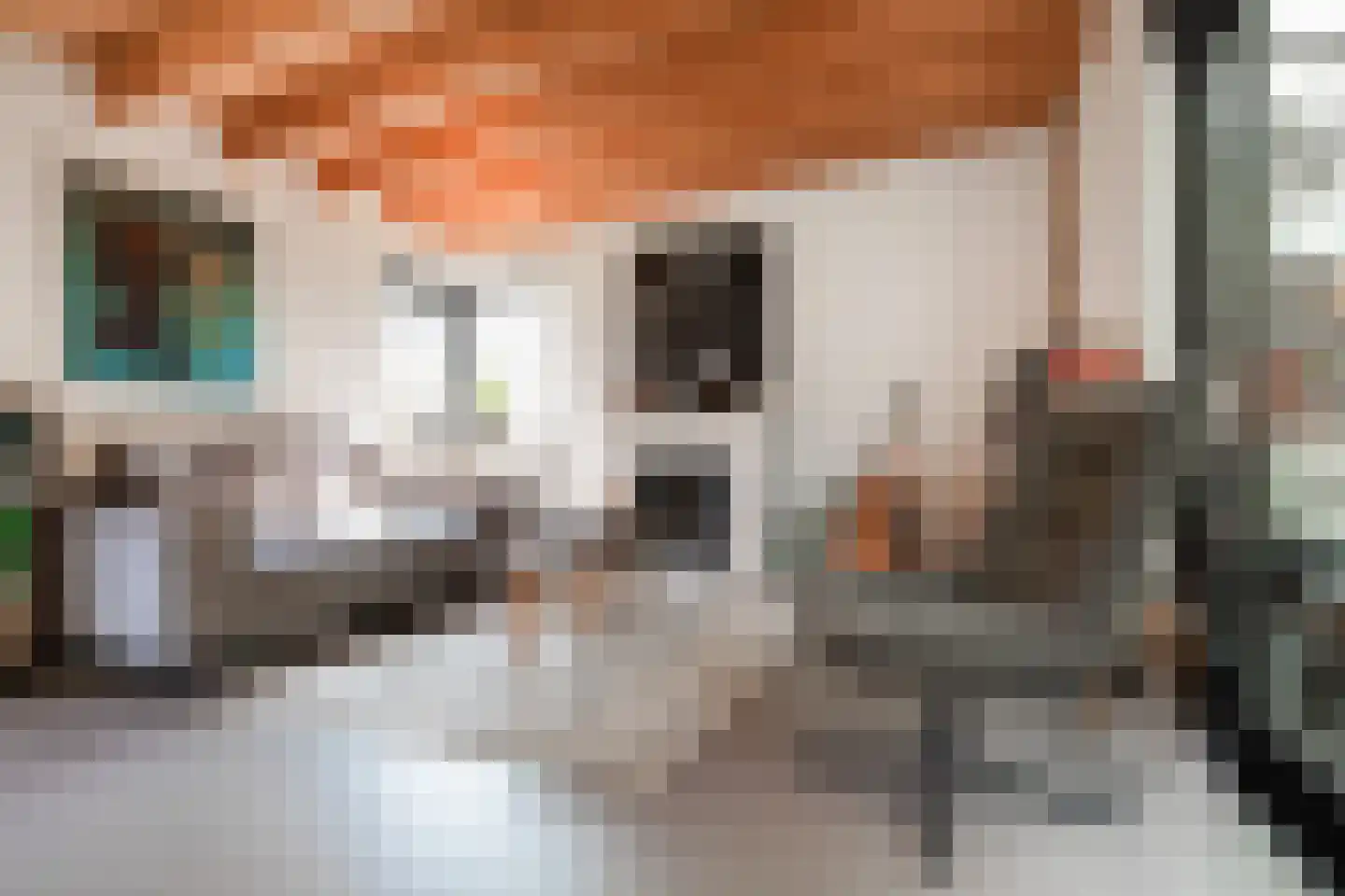 Baansingel 147 Alkmaar thumbnail 7