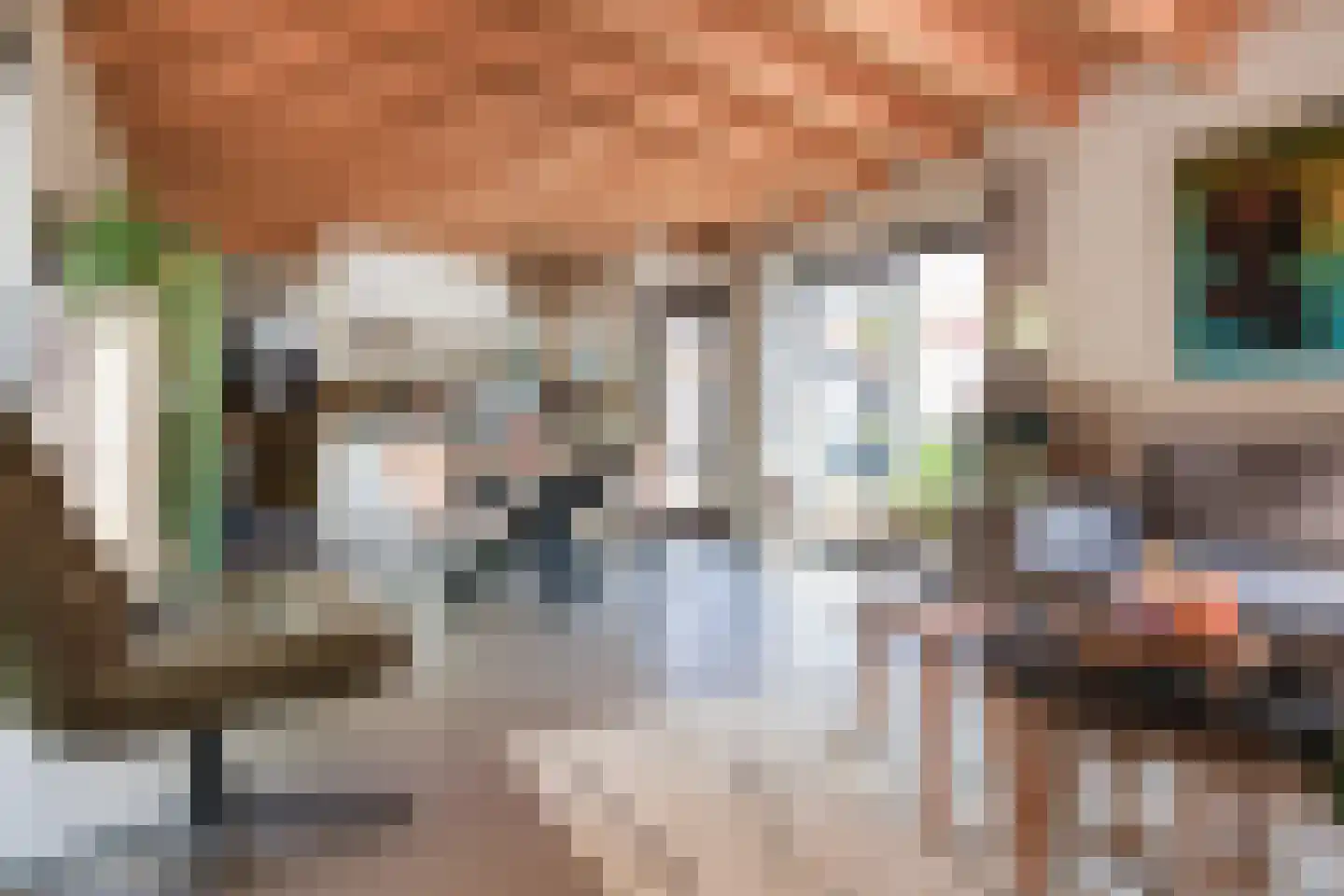 Baansingel 147 Alkmaar thumbnail 9