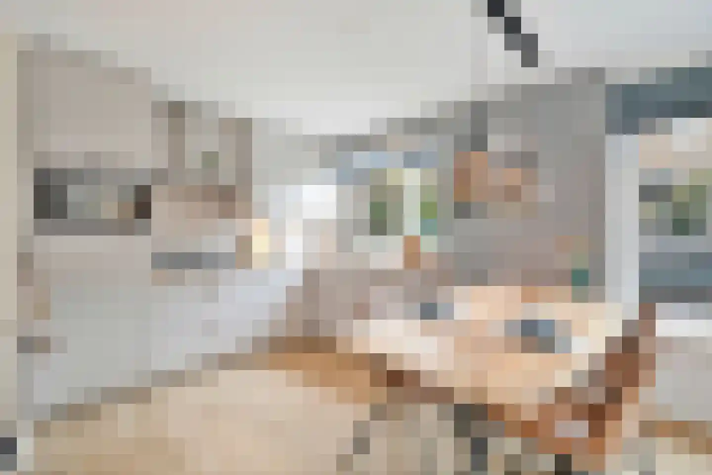 Baansingel 152 Alkmaar thumbnail 15