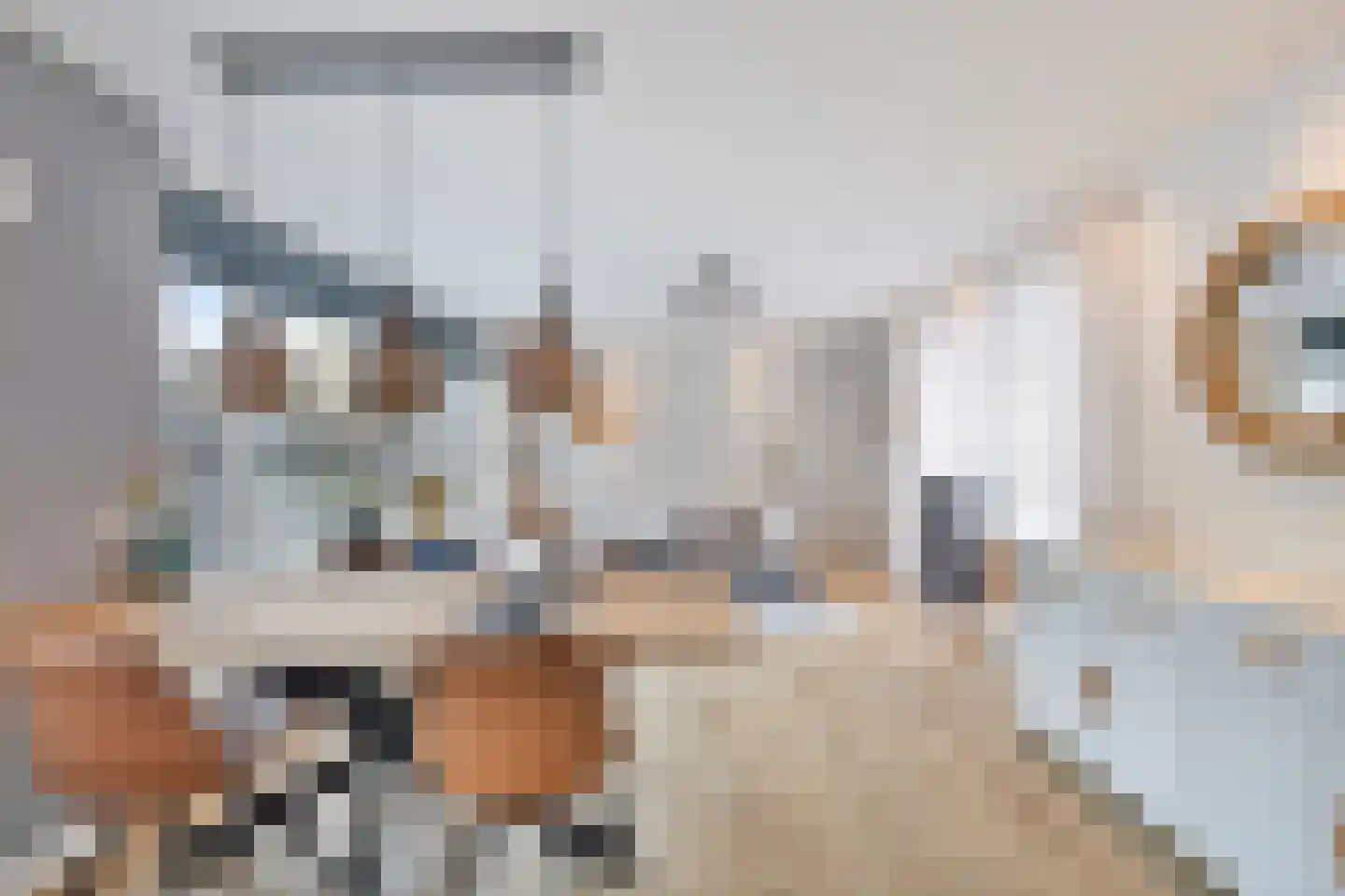 Baansingel 152 Alkmaar thumbnail 16