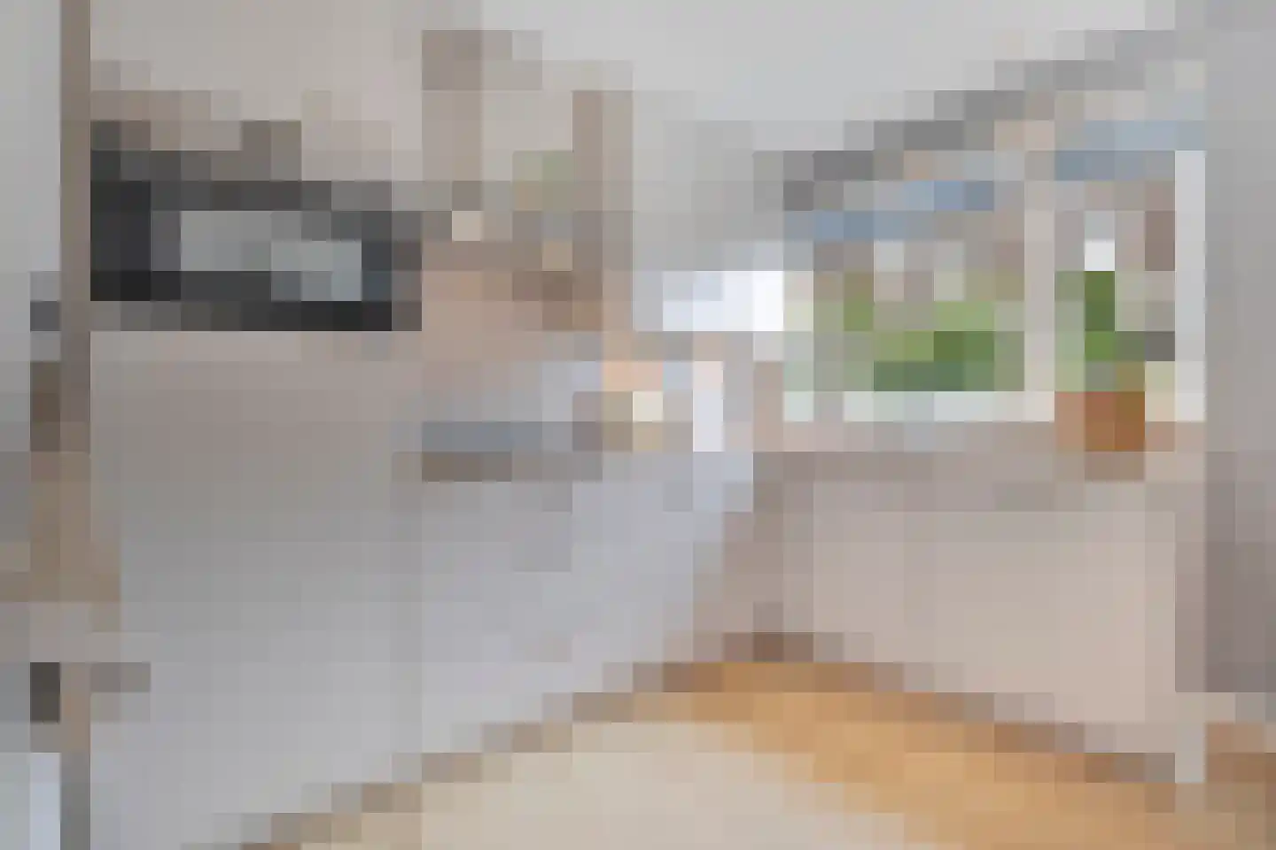Baansingel 152 Alkmaar thumbnail 17