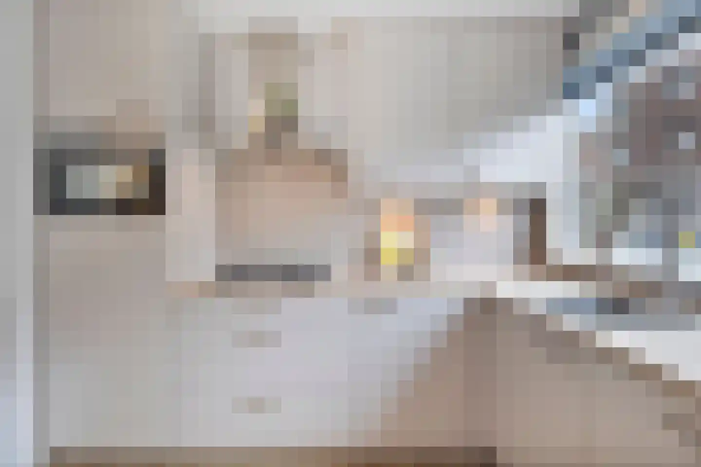 Baansingel 152 Alkmaar thumbnail 18