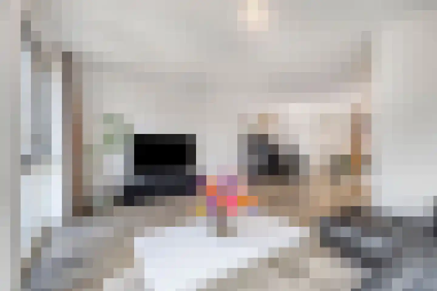 Baansingel 153 Alkmaar thumbnail 27