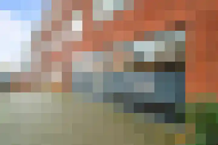 Baansingel 48 Alkmaar thumbnail 8