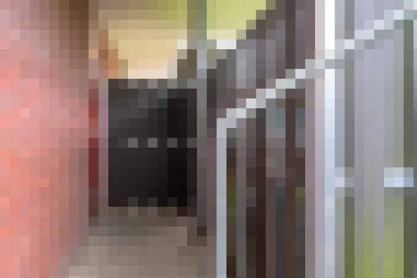 Baansingel 90 Alkmaar thumbnail 30