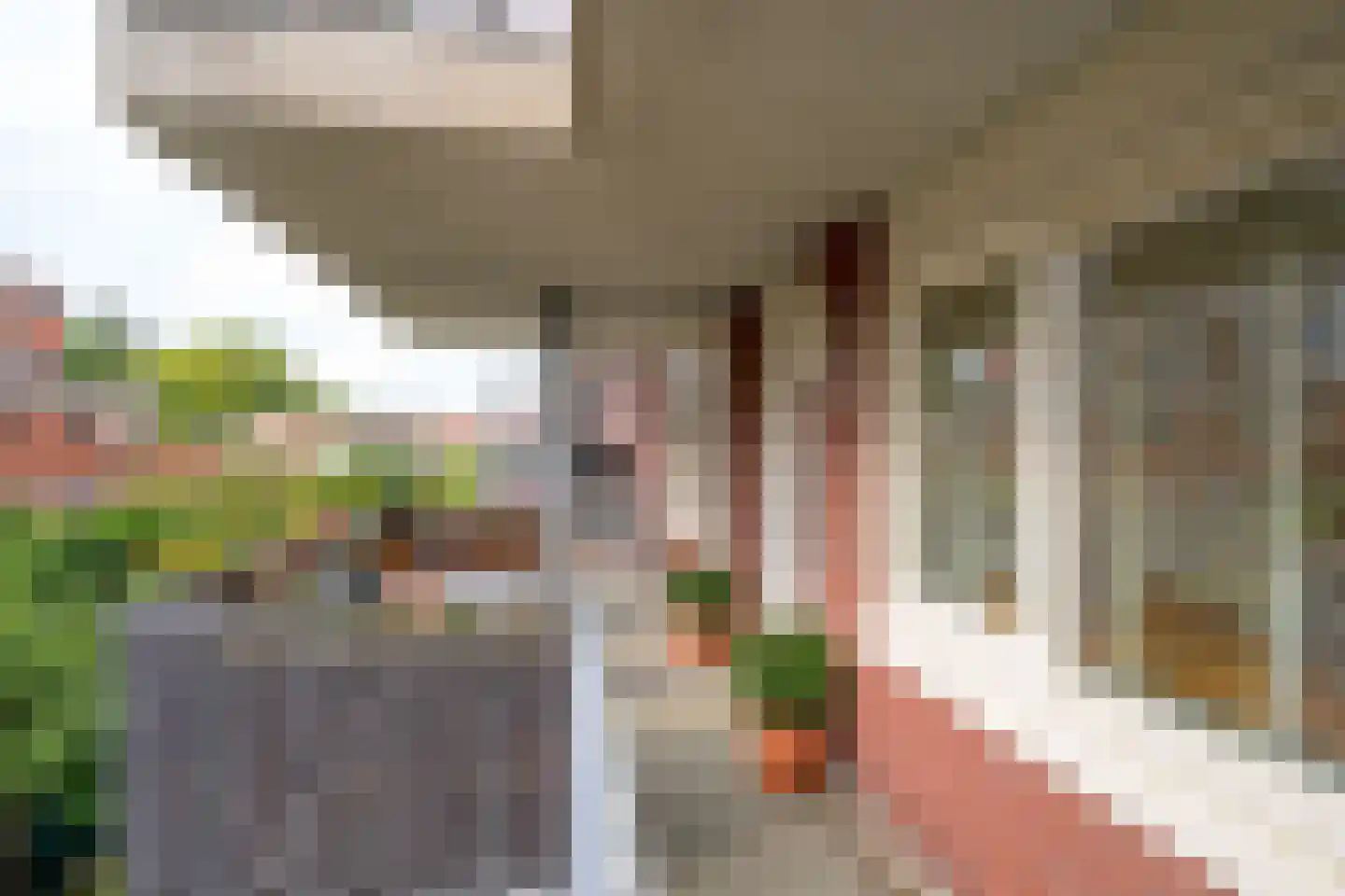 Baansingel 90 Alkmaar thumbnail 8