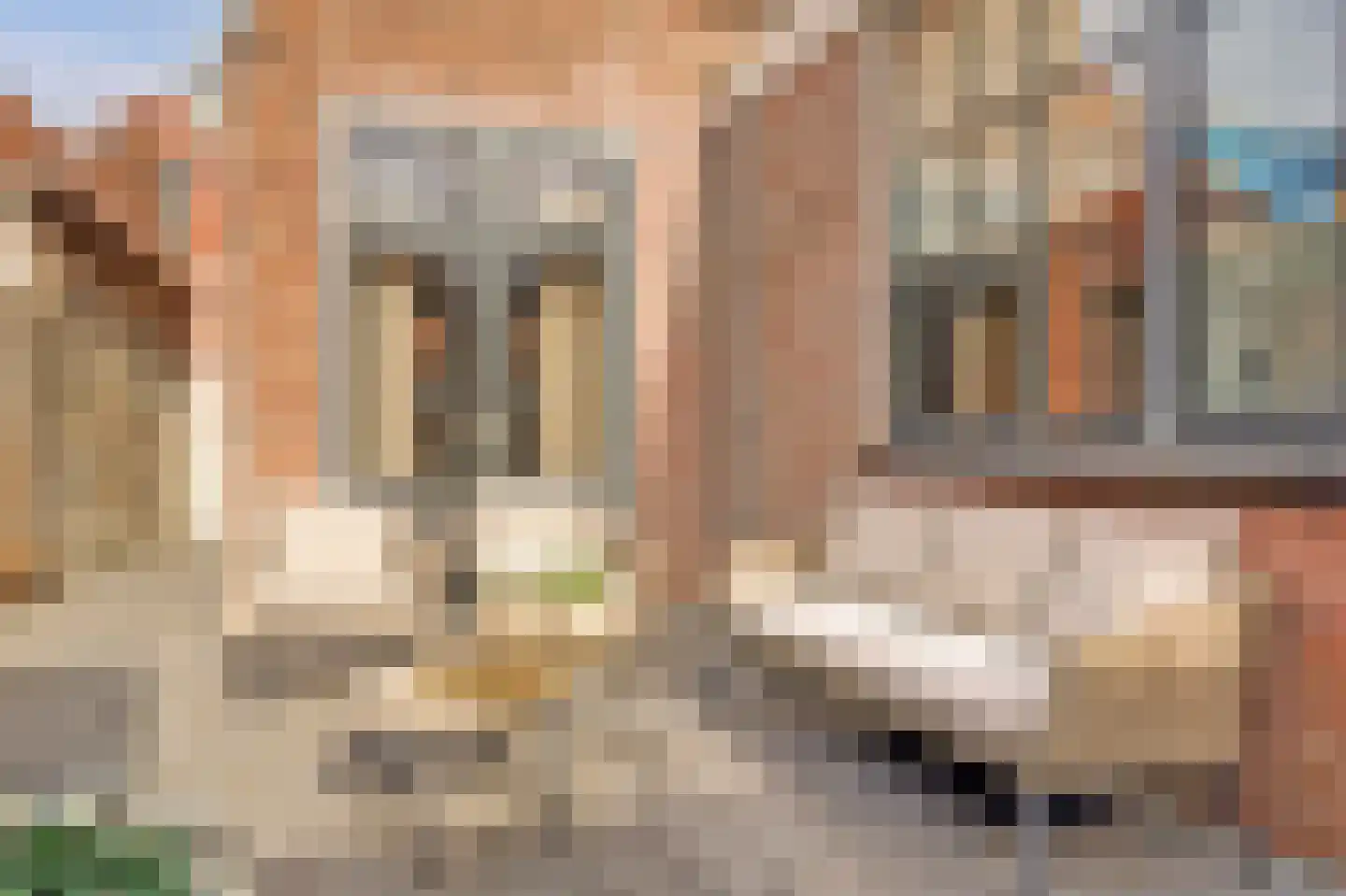 Baansteeg 6 Enkhuizen thumbnail 17
