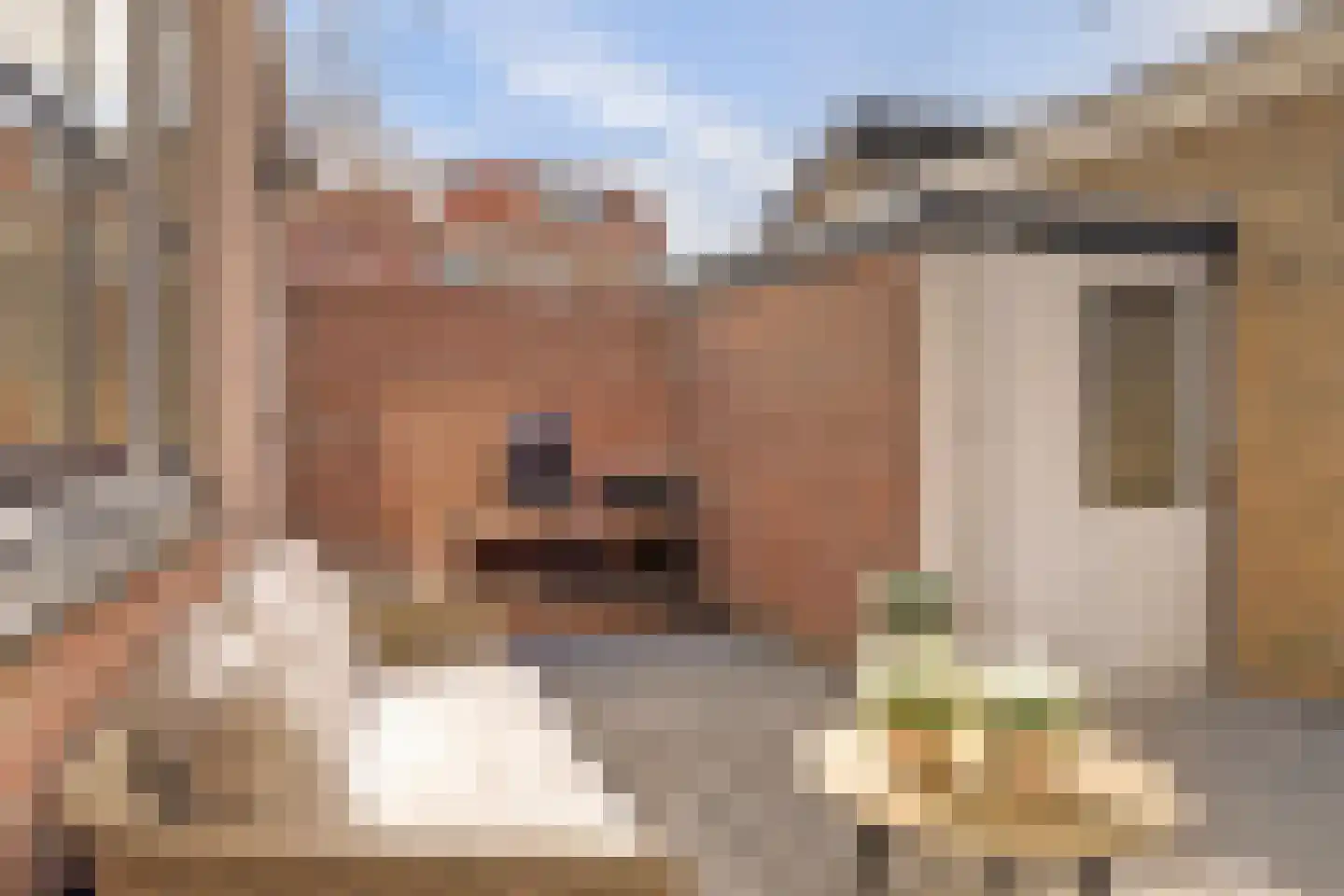 Baansteeg 6 Enkhuizen thumbnail 19