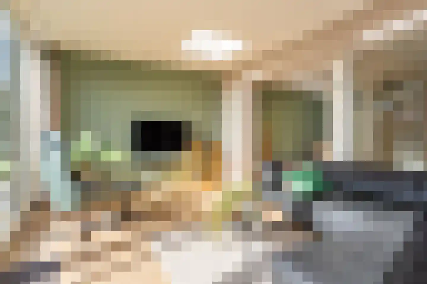 Baansteen 12 Nistelrode thumbnail 23