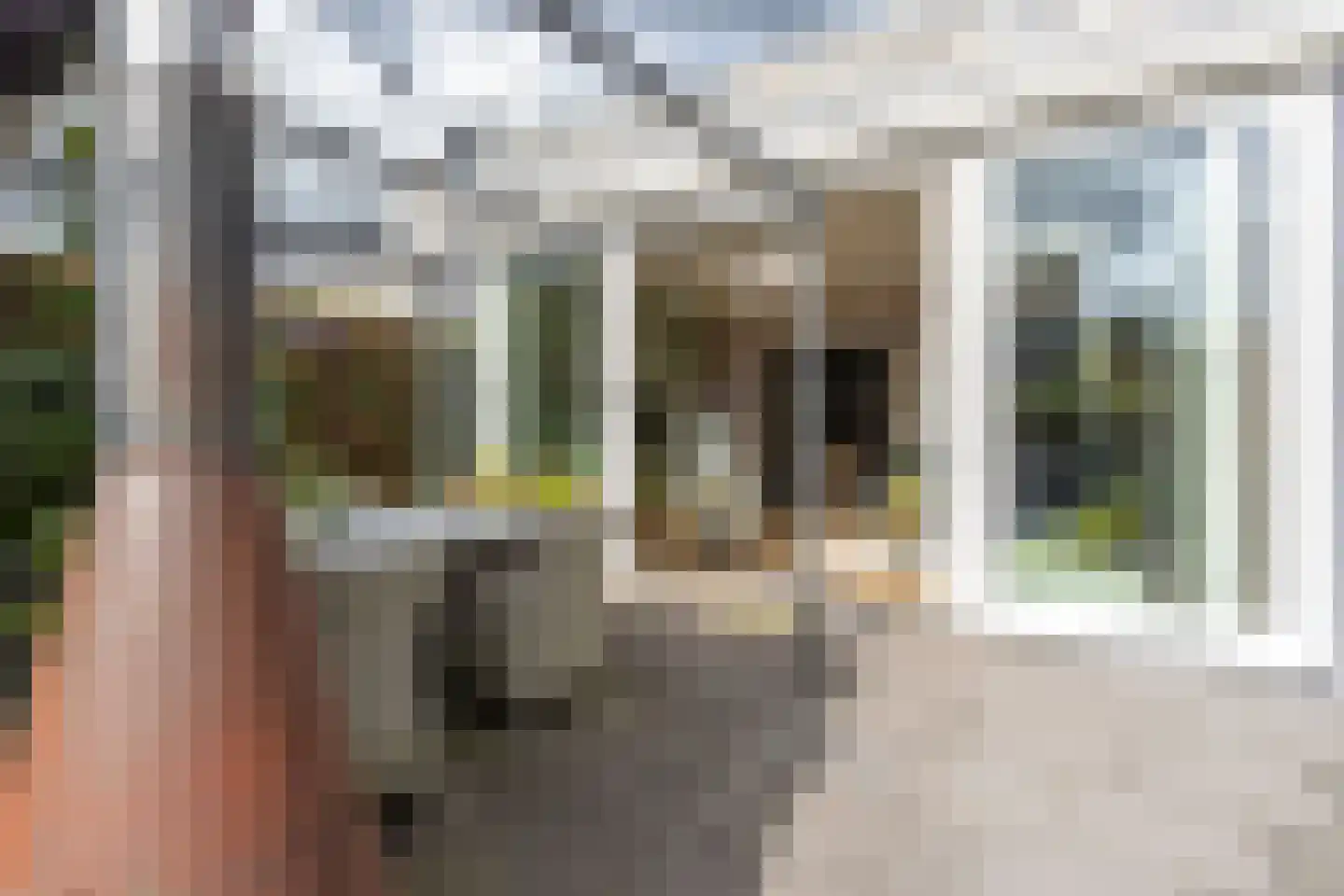 Baansteen 12 Nistelrode thumbnail 48