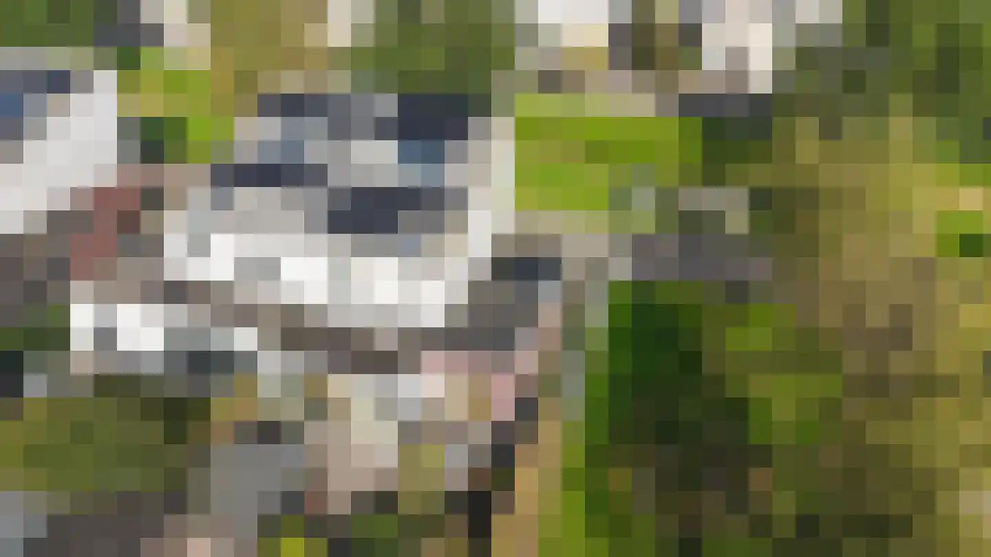 Baansteen 12 Nistelrode thumbnail 51