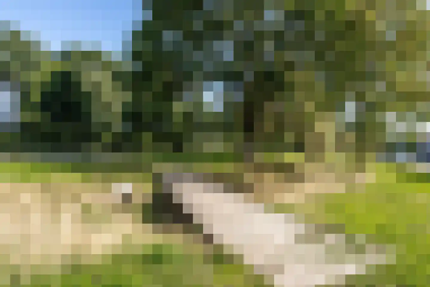 Baansteen 12 Nistelrode thumbnail 52