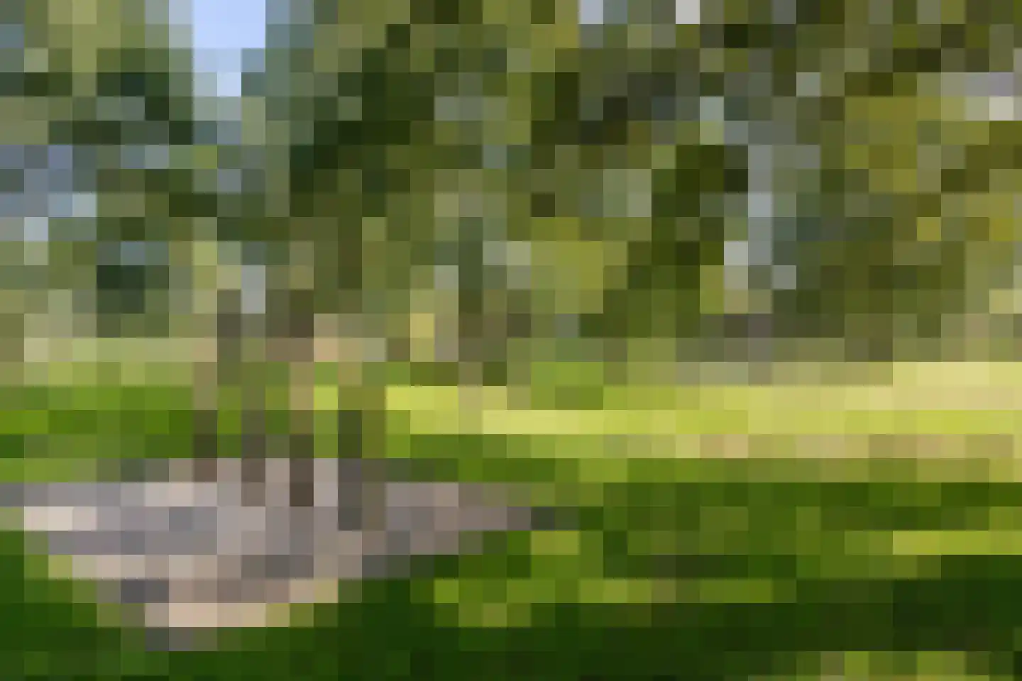 Baansteen 12 Nistelrode thumbnail 53