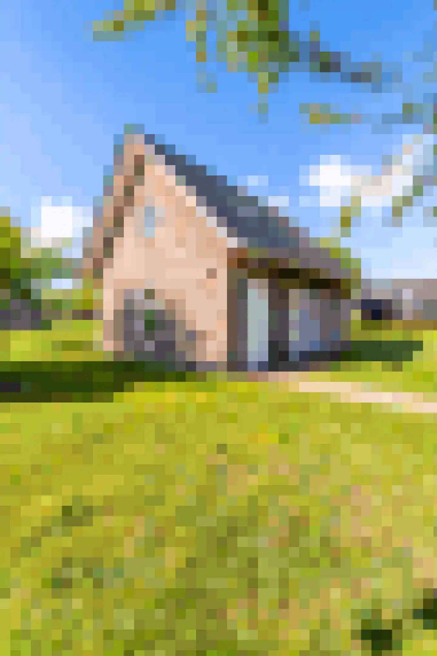 Baanstpoldersedijk 4 108 Nieuwvliet thumbnail 10