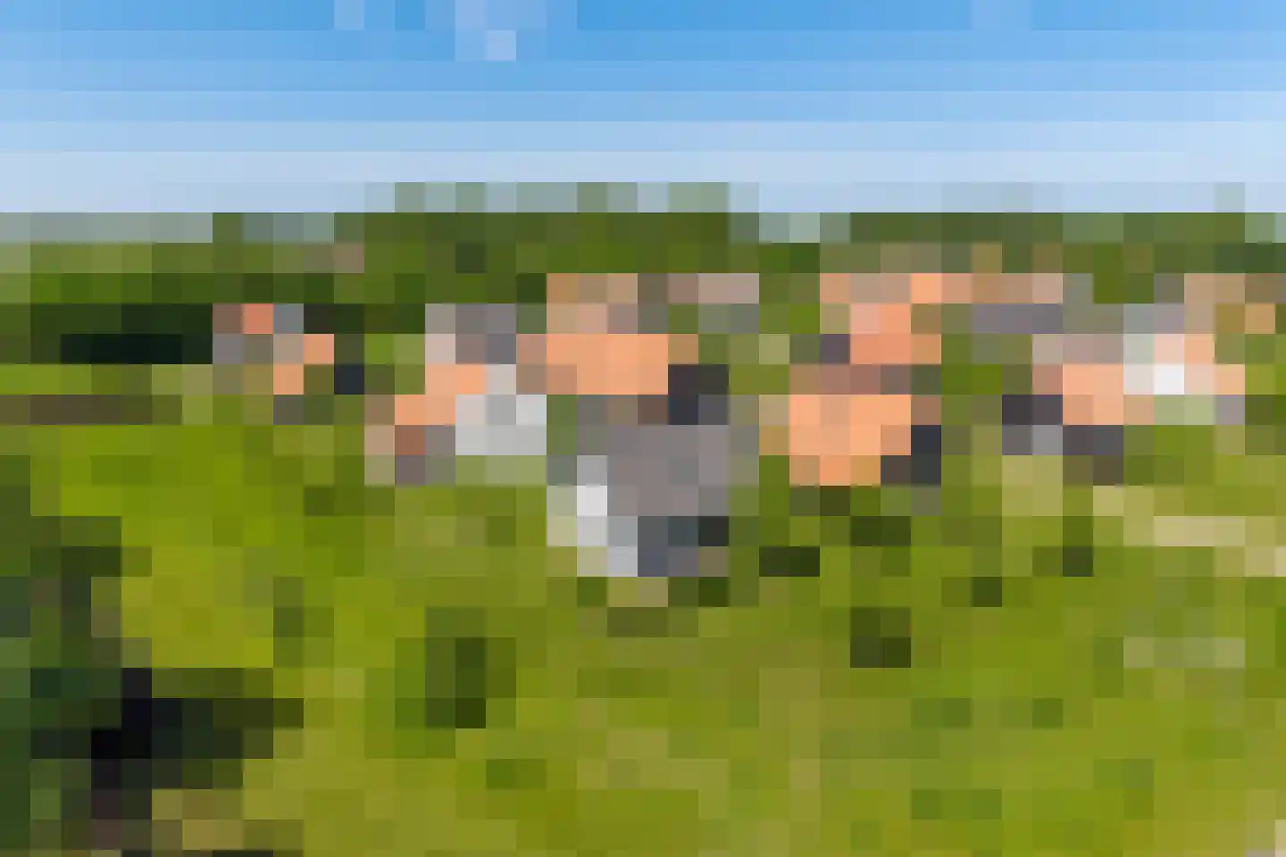 Baanstpoldersedijk 4 108 Nieuwvliet thumbnail 25