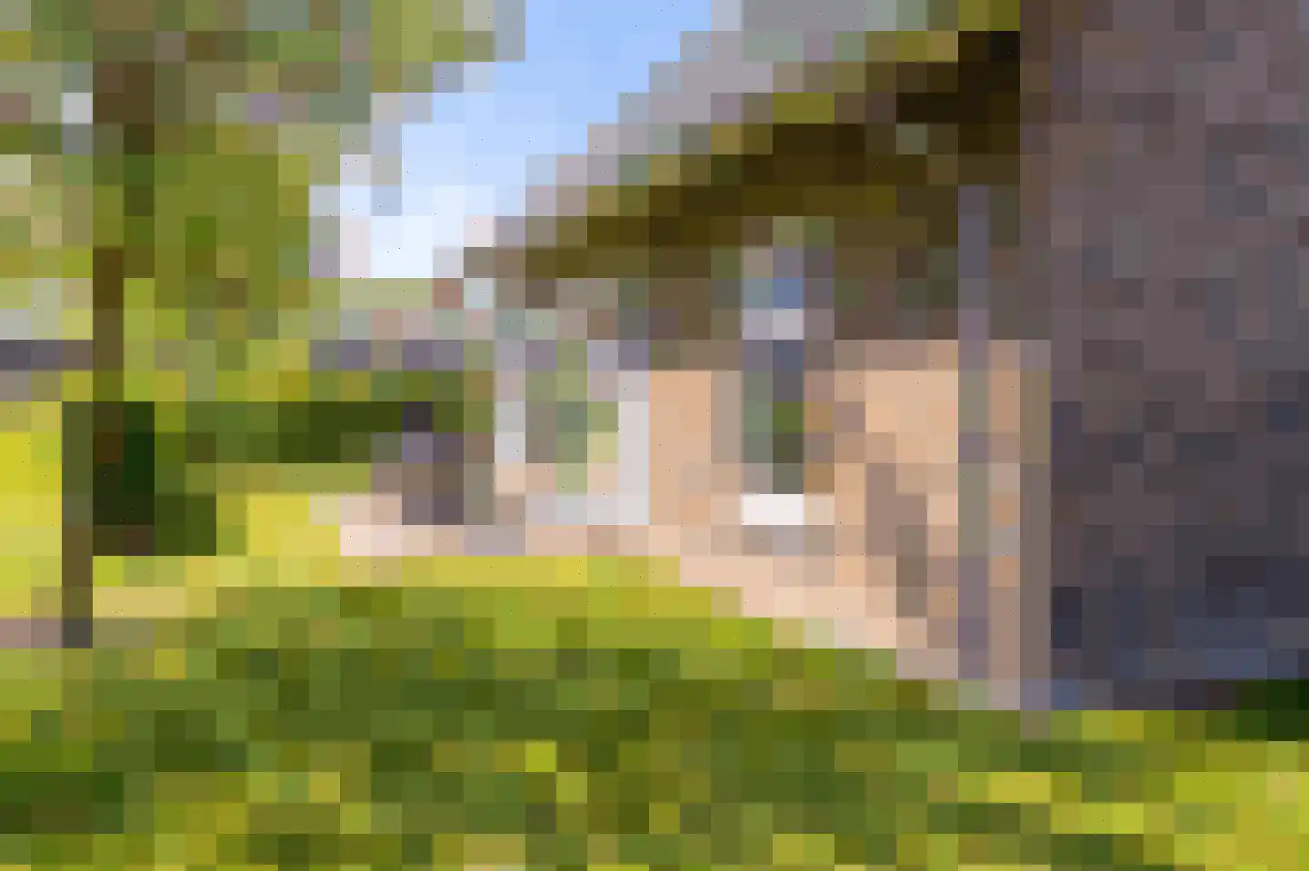 Baanstpoldersedijk 4 108 Nieuwvliet thumbnail 5