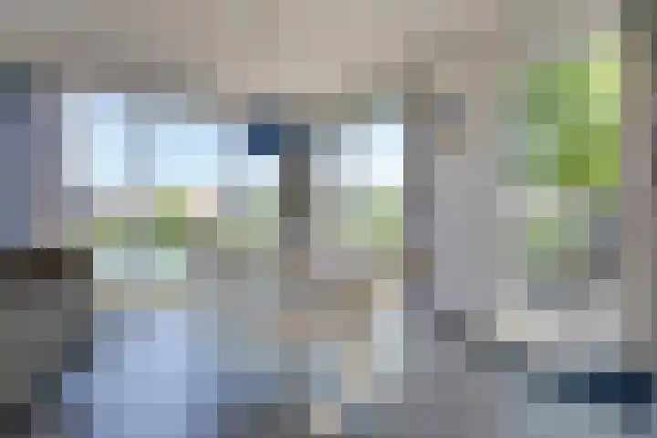 Baanstpoldersedijk 4 112 Nieuwvliet thumbnail 10