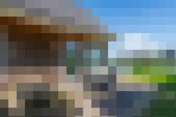 Baanstpoldersedijk 4 112 Nieuwvliet thumbnail 21