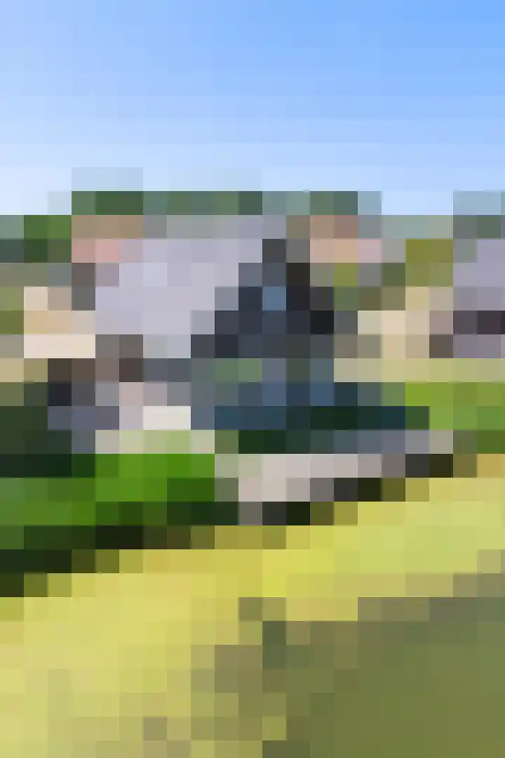 Baanstpoldersedijk 4 112 Nieuwvliet thumbnail 23