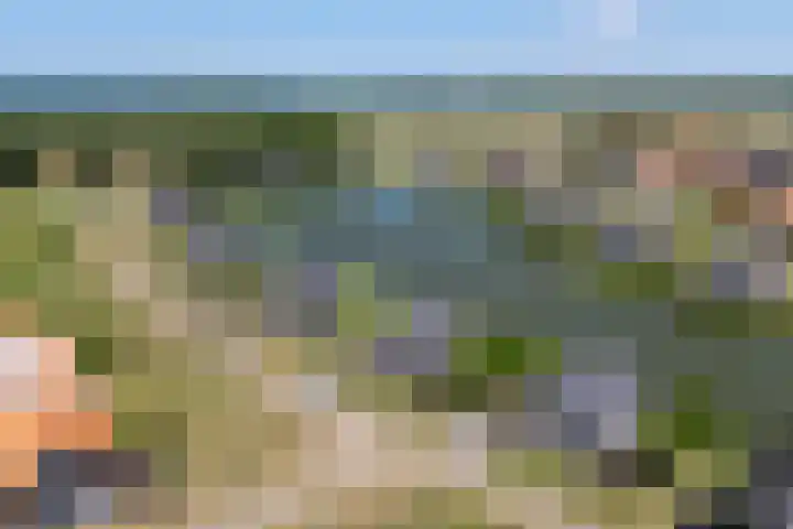 Baanstpoldersedijk 4 112 Nieuwvliet thumbnail 25