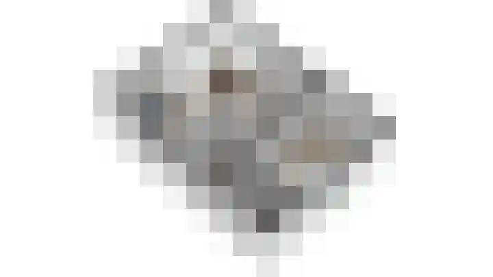 Baanstpoldersedijk 4 112 Nieuwvliet thumbnail 30