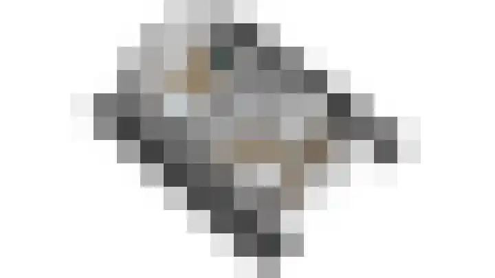 Baanstpoldersedijk 4 112 Nieuwvliet thumbnail 31
