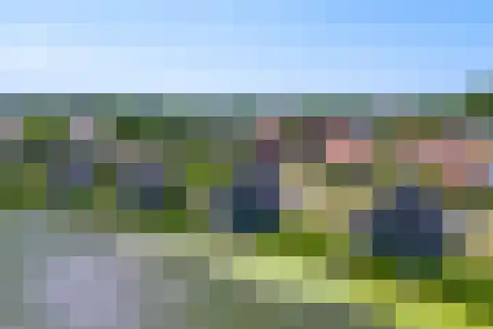 Baanstpoldersedijk 4 112 Nieuwvliet thumbnail 32
