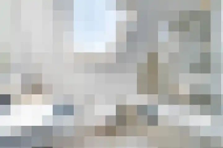 Baanstpoldersedijk 4 112 Nieuwvliet thumbnail 4