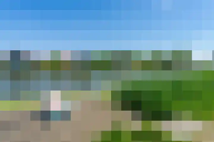 Baanstpoldersedijk 4 112 Nieuwvliet thumbnail 5
