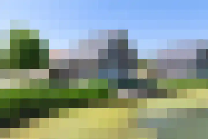 Baanstpoldersedijk 4 112 Nieuwvliet thumbnail 7
