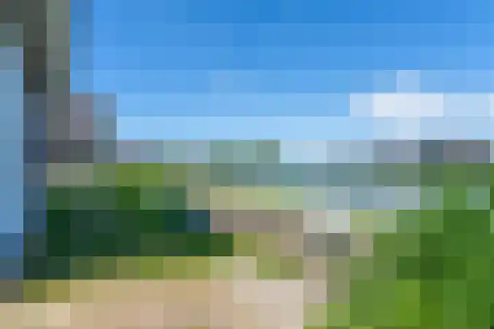 Baanstpoldersedijk 4 112 Nieuwvliet thumbnail 8